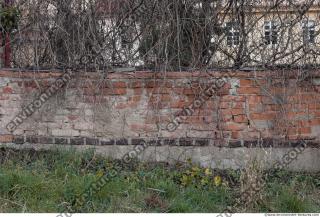 wall brick plastered overgrown 0001